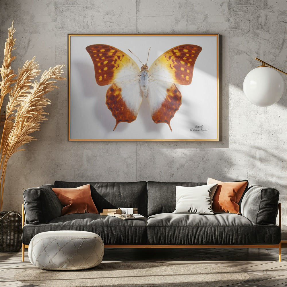 Vlinder - 4 | Canvas