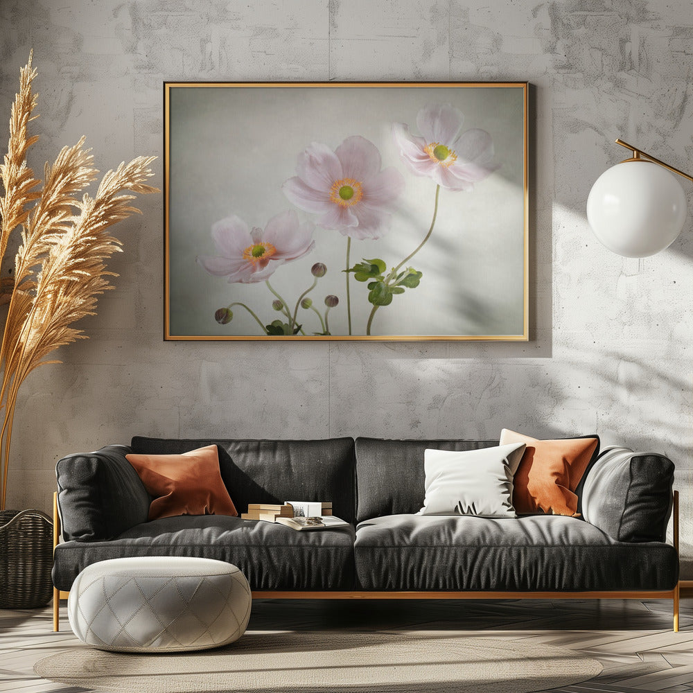 Anemonen | Canvas