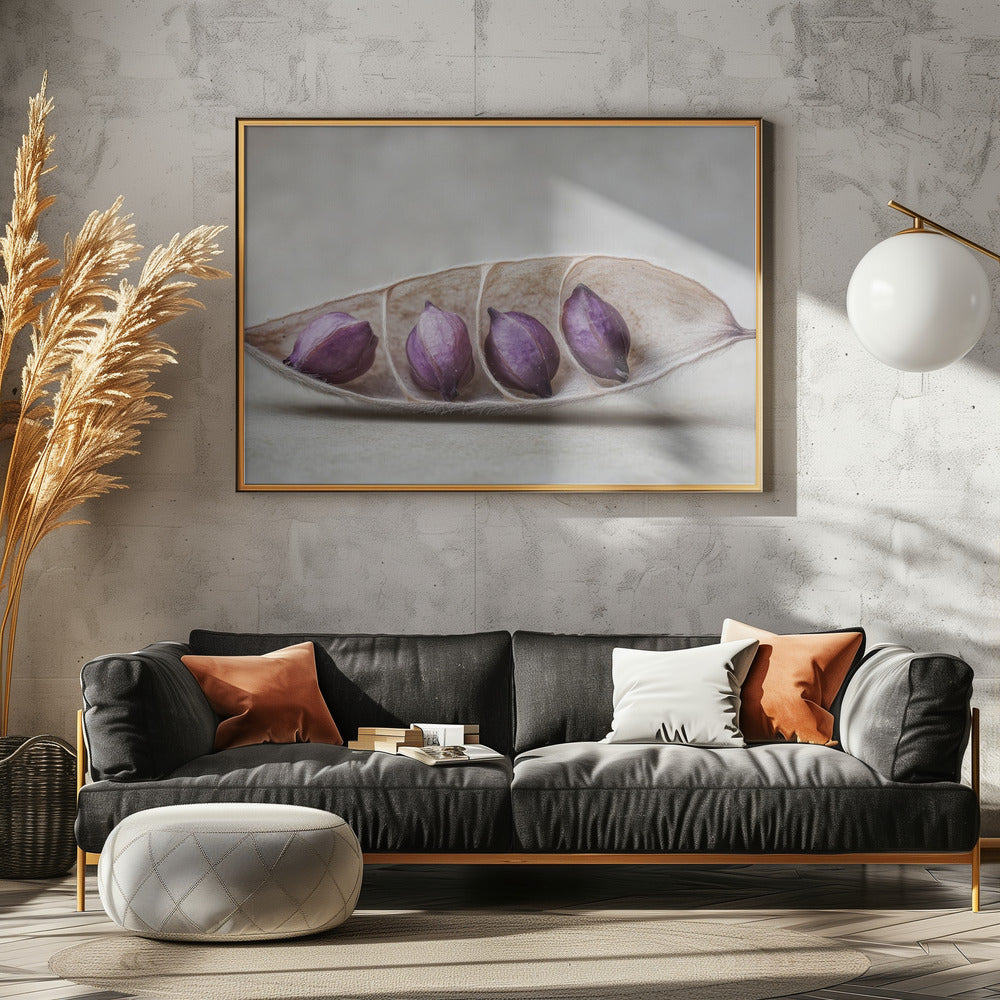 Paarse Pod Harmony | Poster