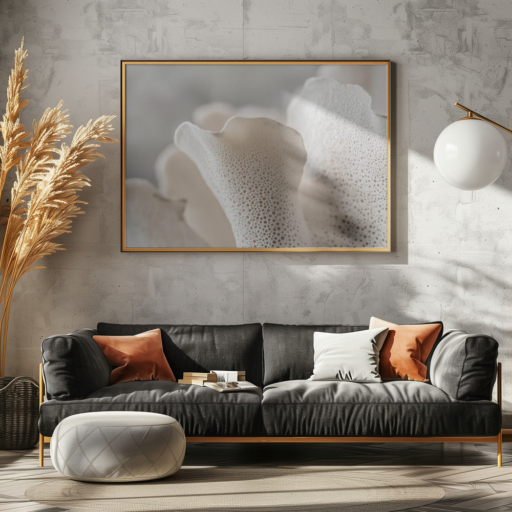 Porseleinen bloemblaadjes | Canvas