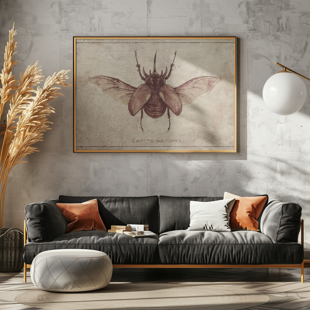 Eupatorus Gracilicornis Kopie | Canvas