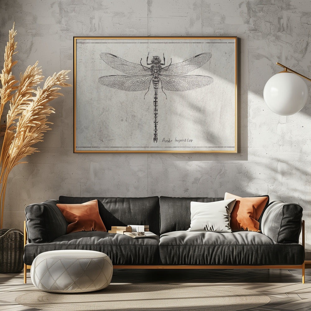 Majesteit in Vlucht Anax Imperator | Canvas
