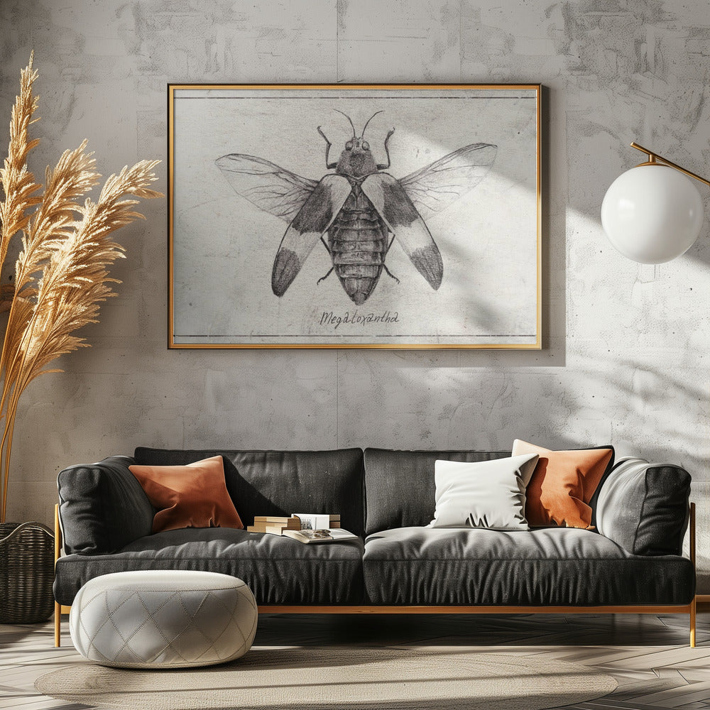 Ingewikkelde insectenschets | Canvas
