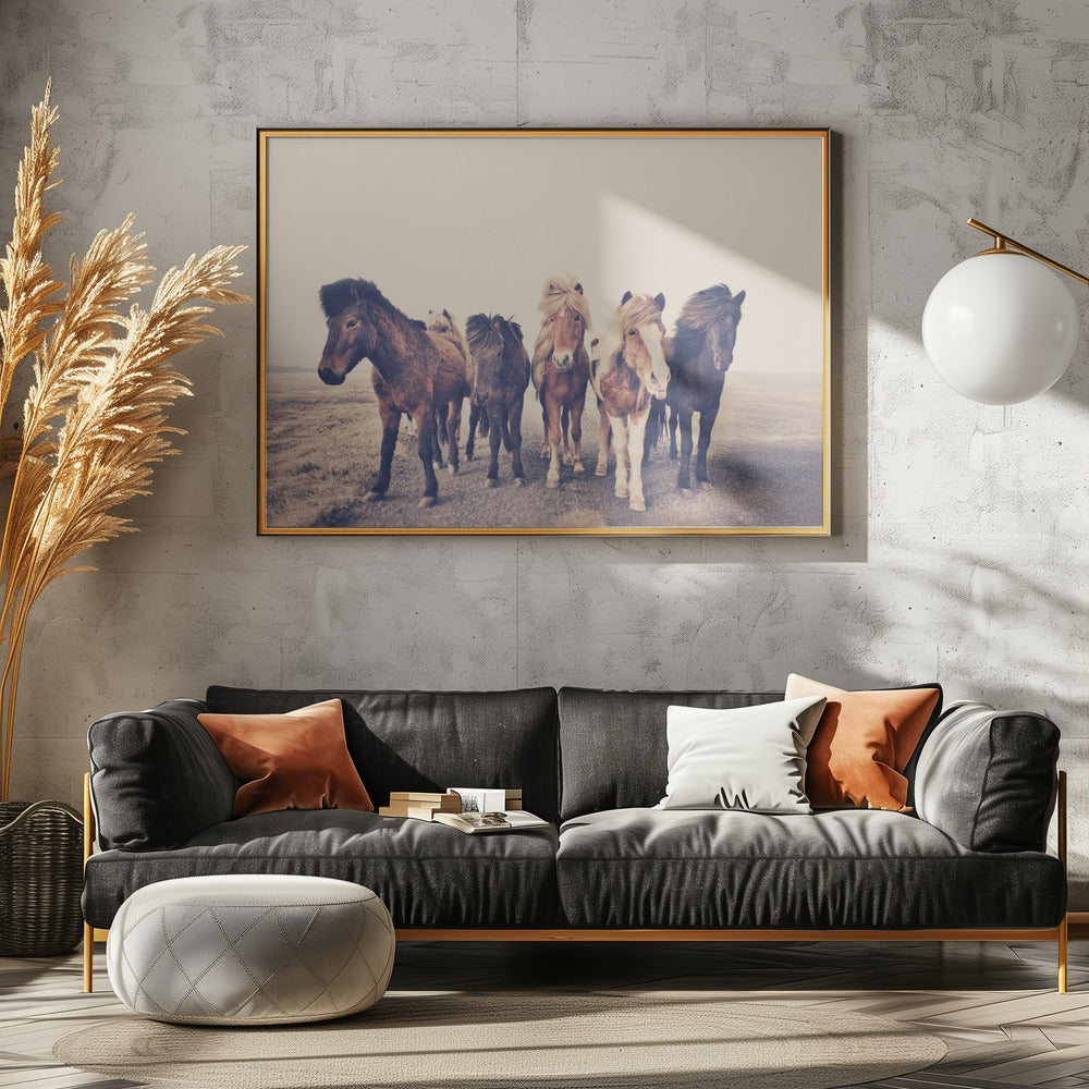 Paarden | Canvas