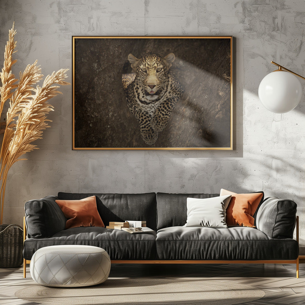 Luipaard rustend op een boom in de Masai Mara | Canvas