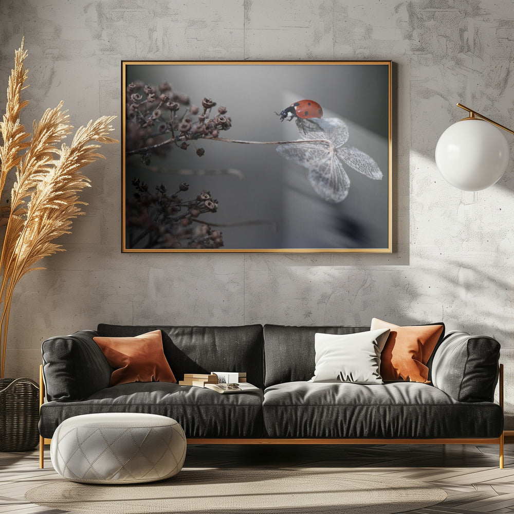 Lieveheersbeestje op hortensia. | Canvas