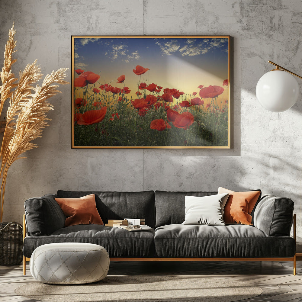 Klaprozen | Canvas