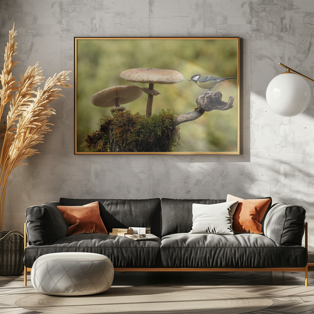 Mijn kleine stukje wereld | Poster