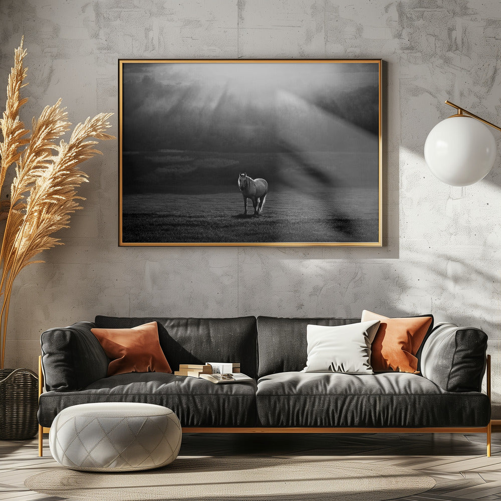 ochtendoptreden | Poster