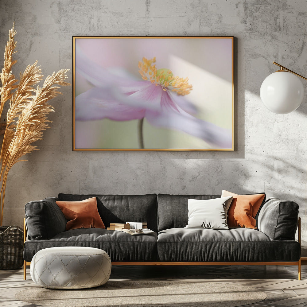 Japanse anemoon | Canvas