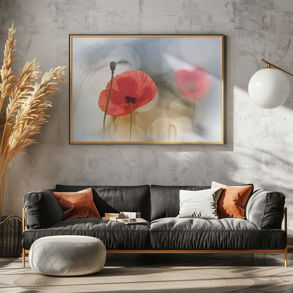 Ochtendklaprozen | Canvas