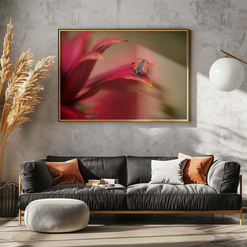 Gewoon rood | Canvas