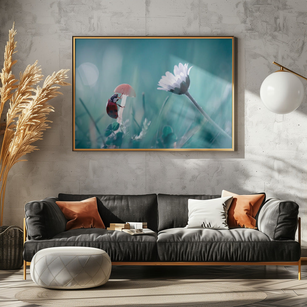 Speeddaten | Canvas