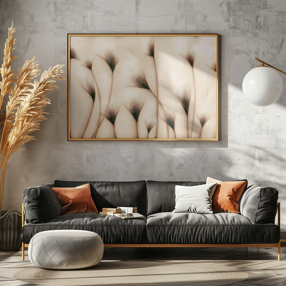 vaginae terram | Canvas