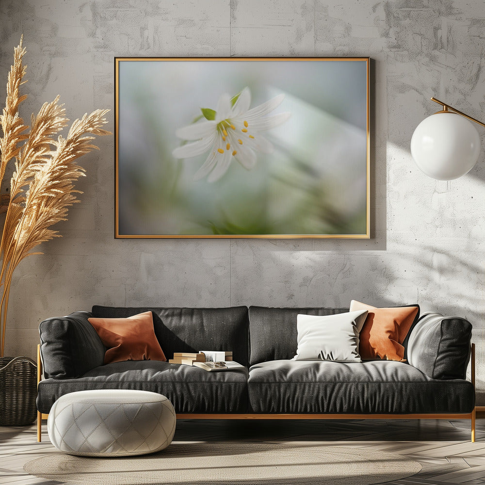 Lente-steekkruid | Canvas