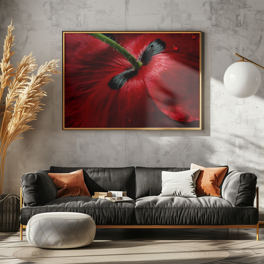 Papaverpassie | Canvas