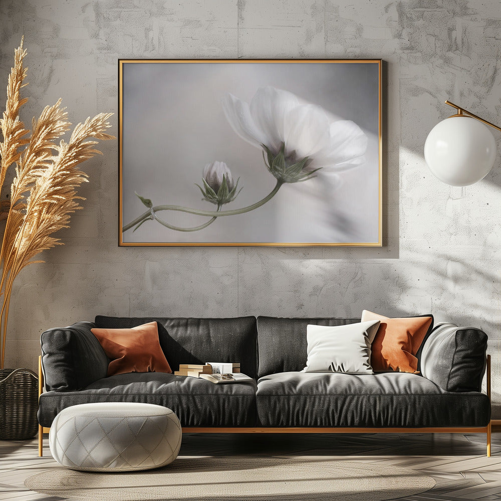 Gewoon Kosmos | Canvas