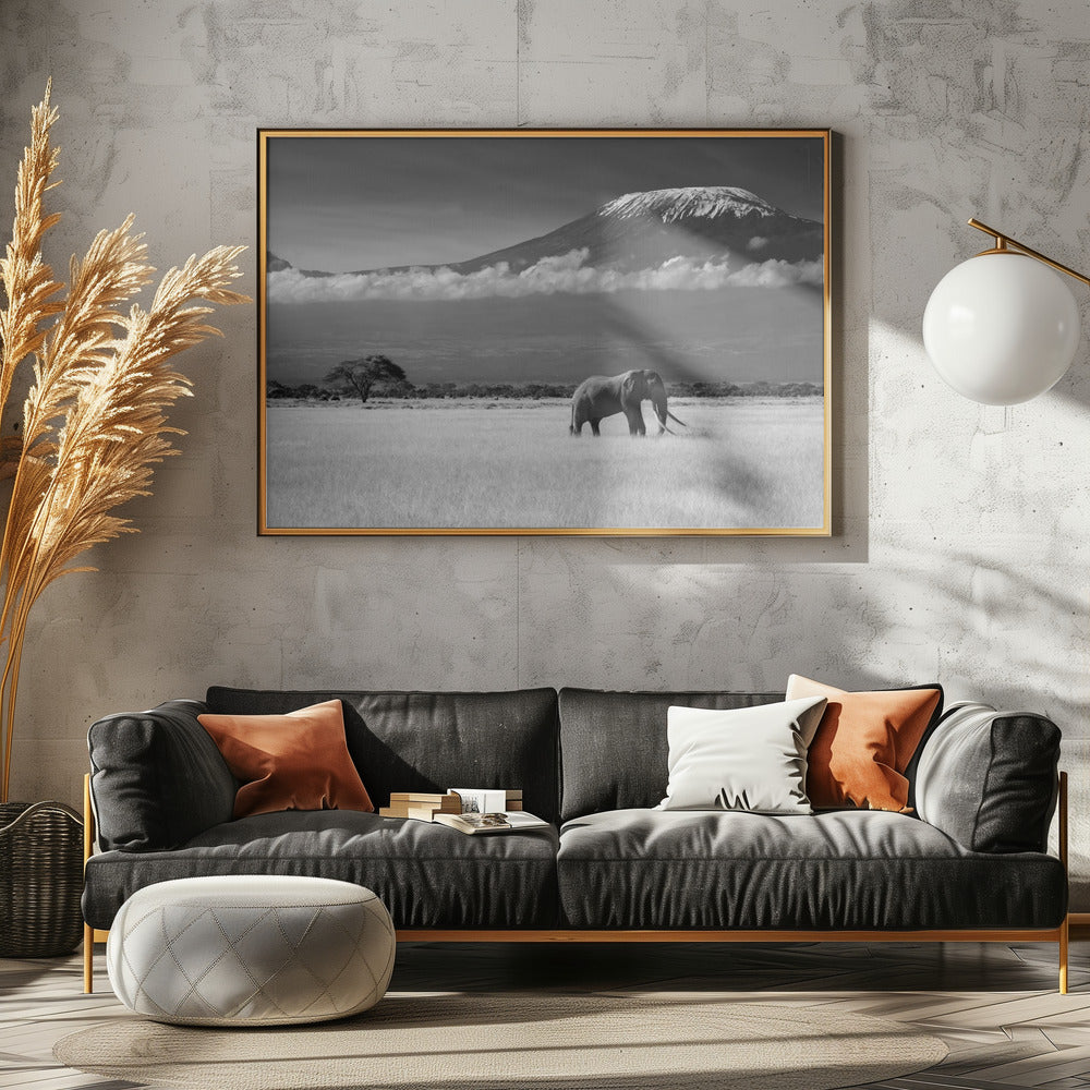 Verloren kleuren II | Canvas
