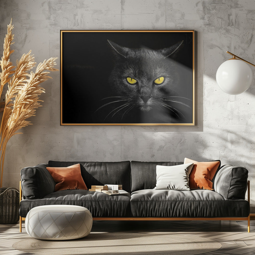 Zwarte kat | Canvas