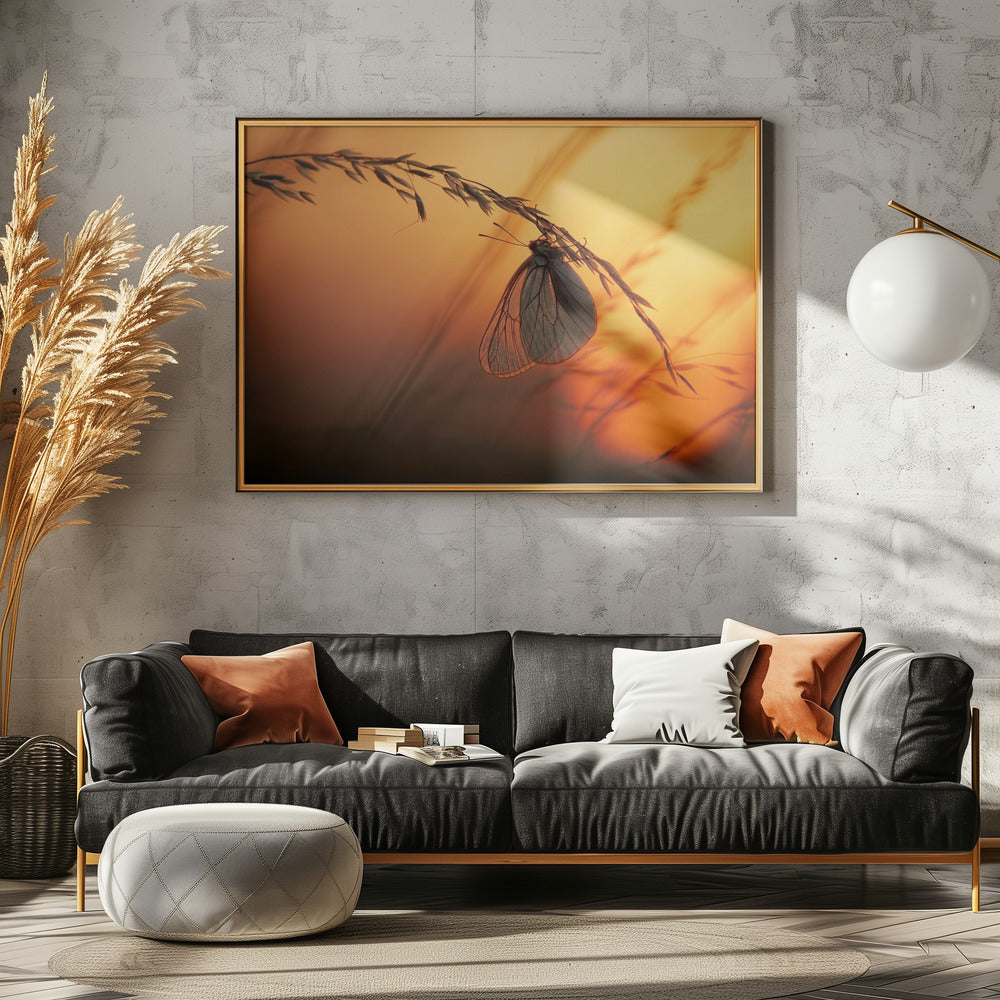 Welterusten | Poster