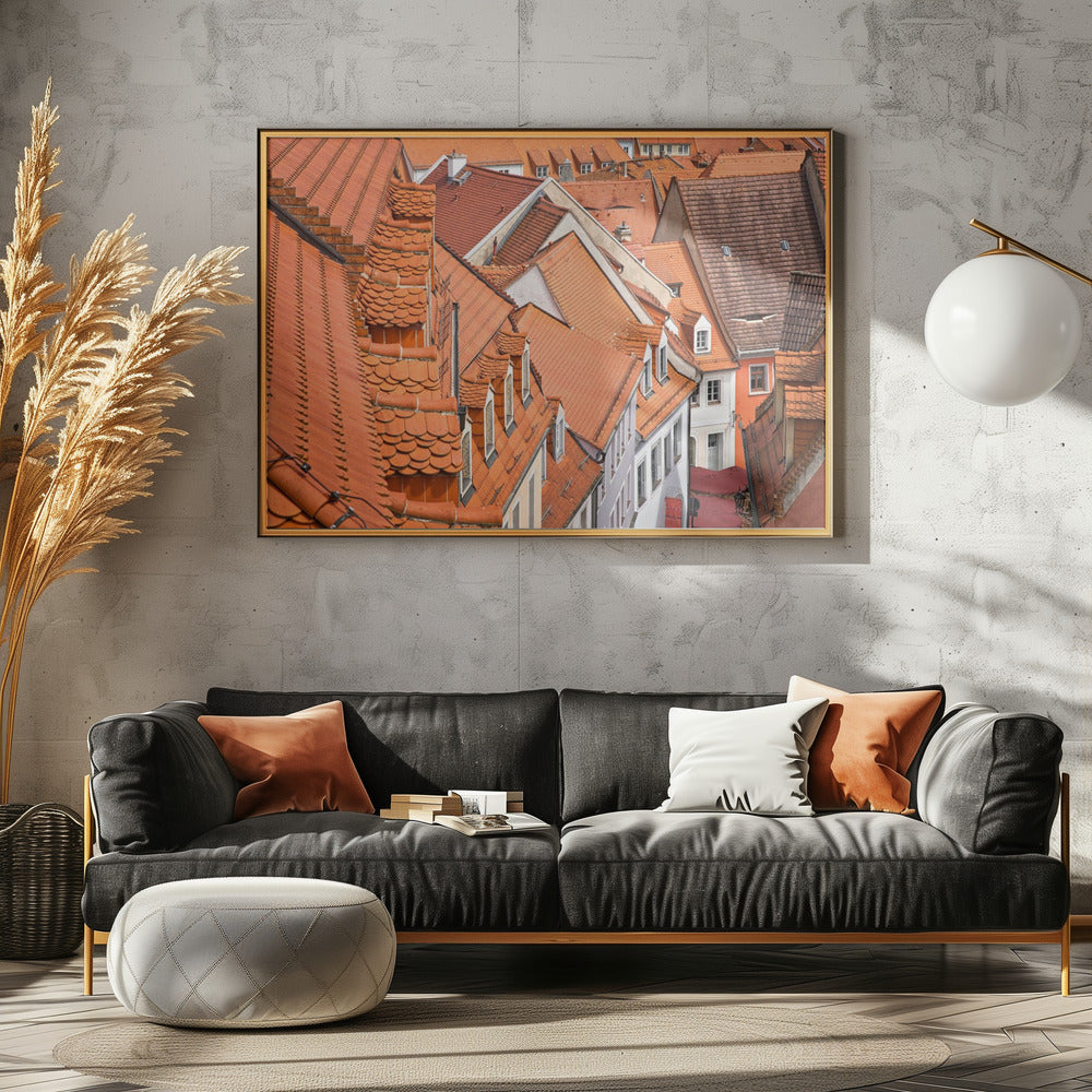 De kleur van deze daken... | Poster