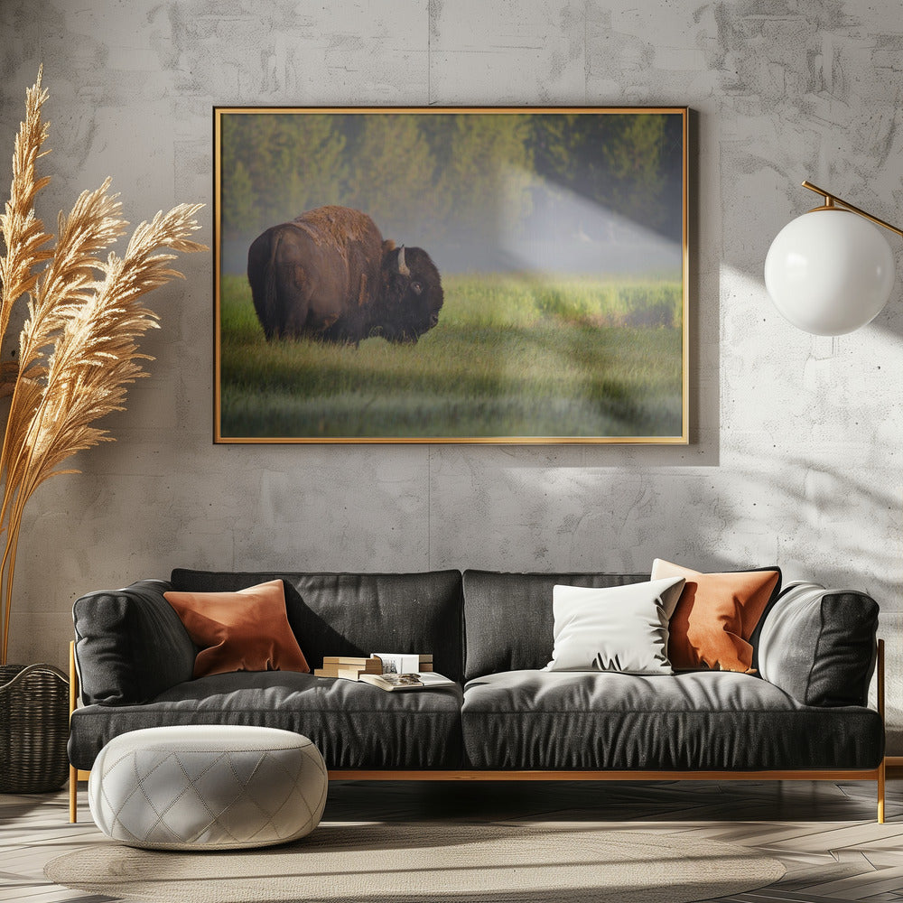 Bizon in ochtendlicht | Canvas