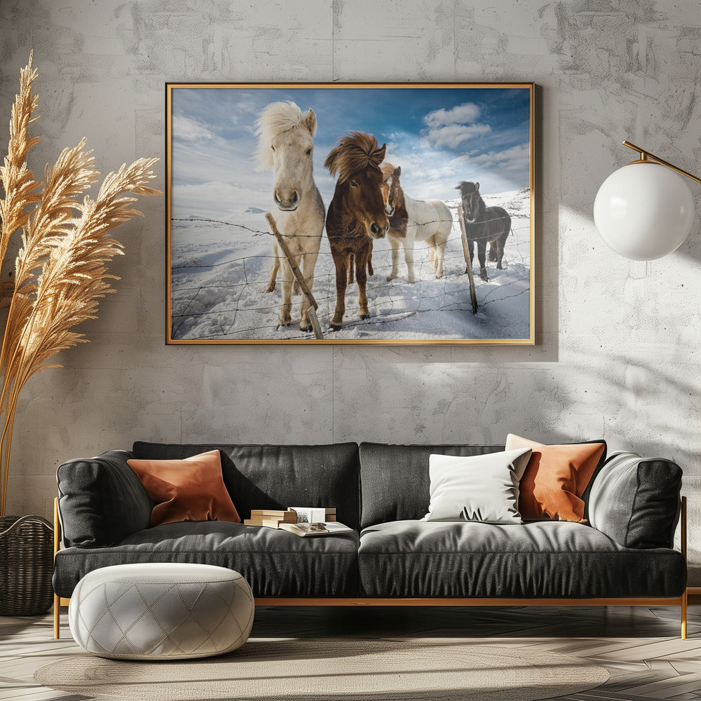 IJslands kapsel | Poster