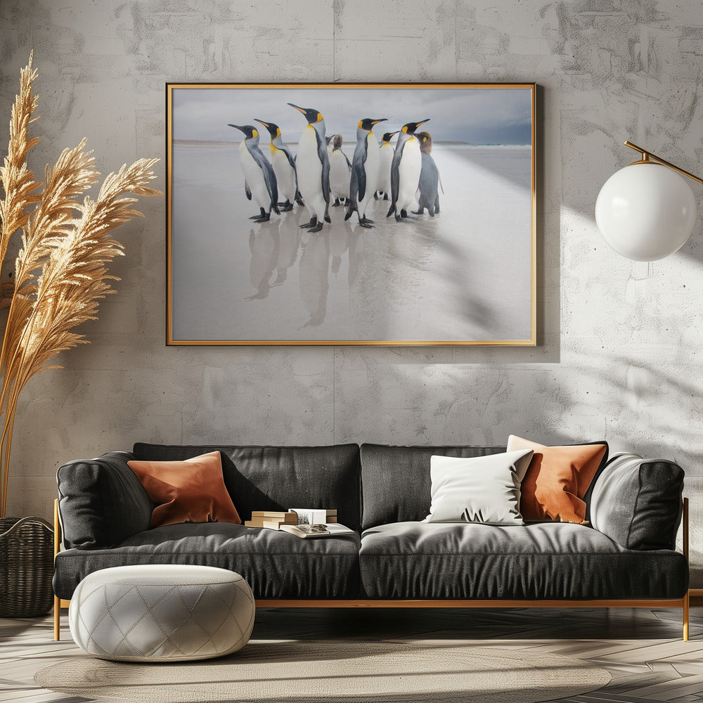 Lijfwacht | Canvas