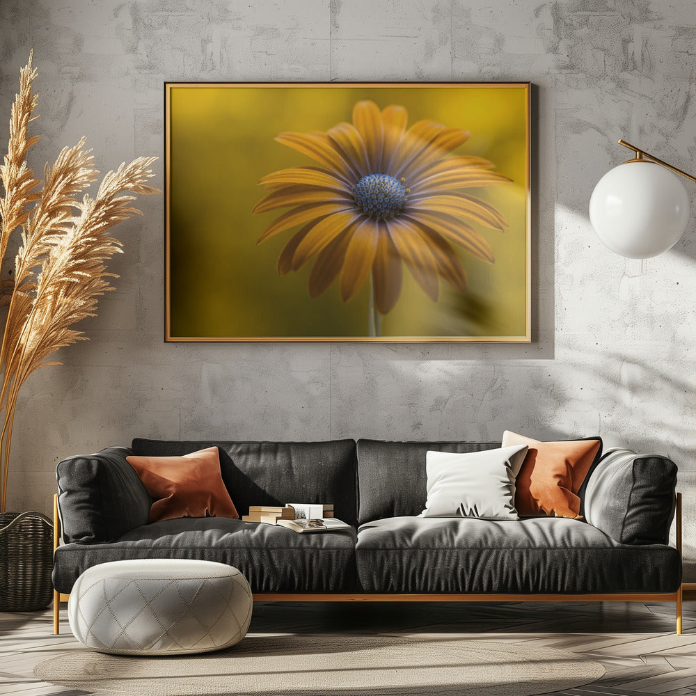 Zonnebloem Madeliefje | Canvas