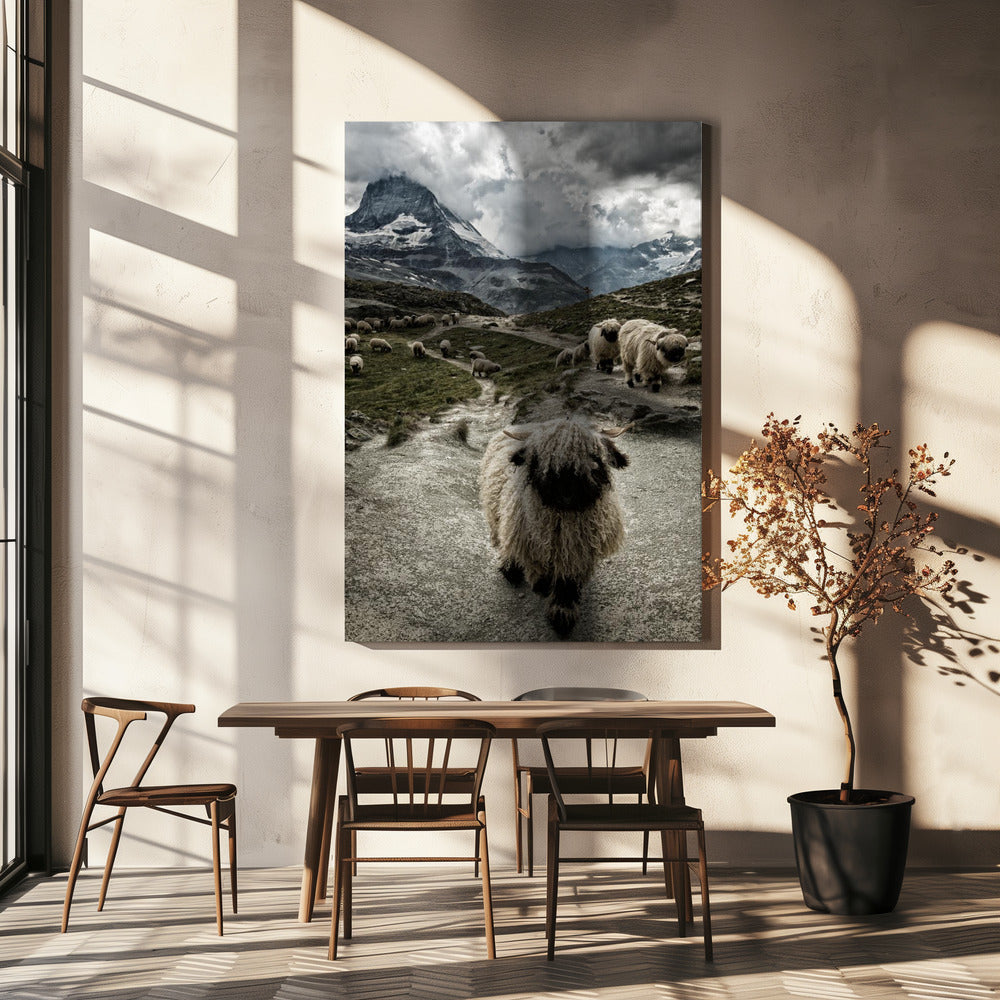 Uit de weg | Canvas