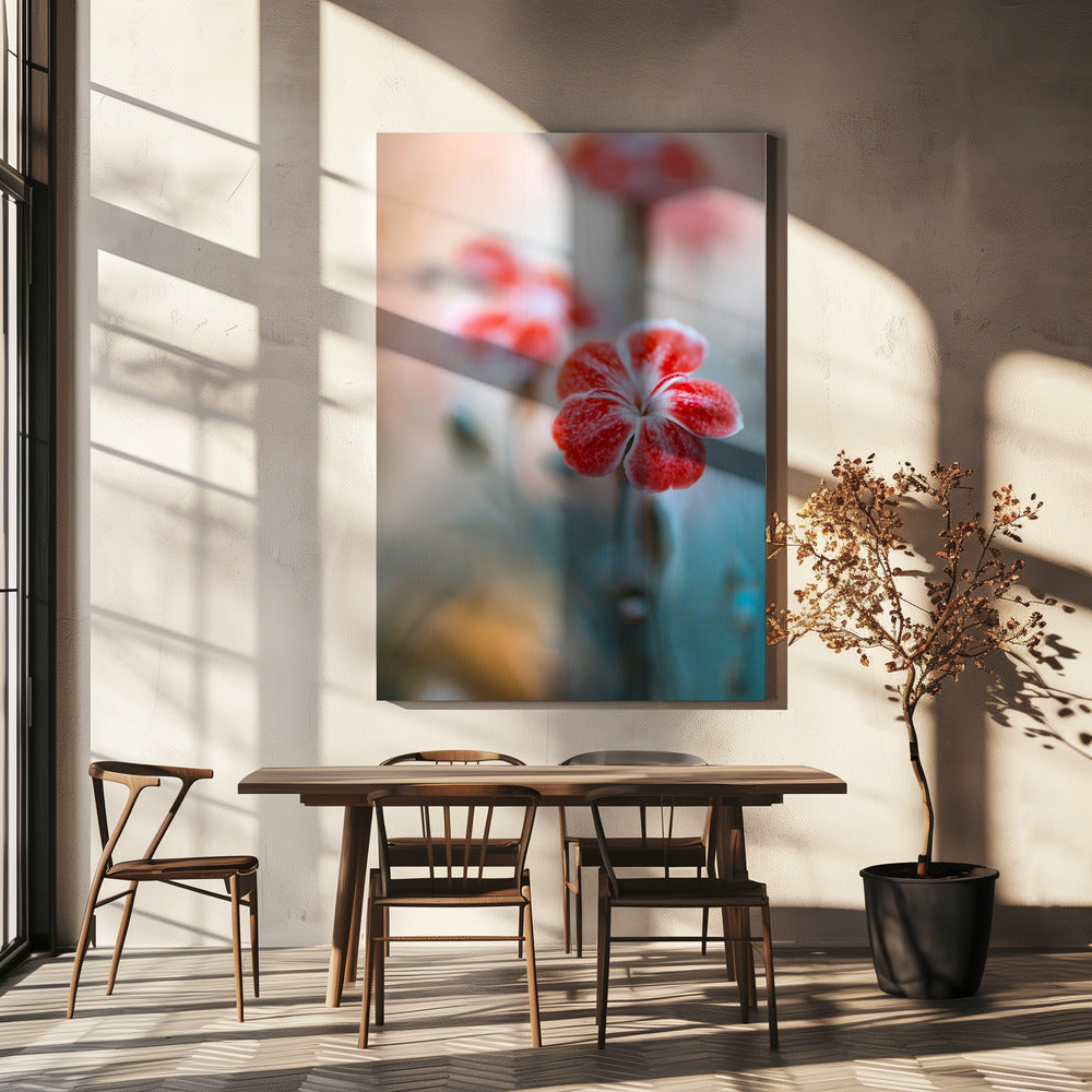 Anjer | Canvas
