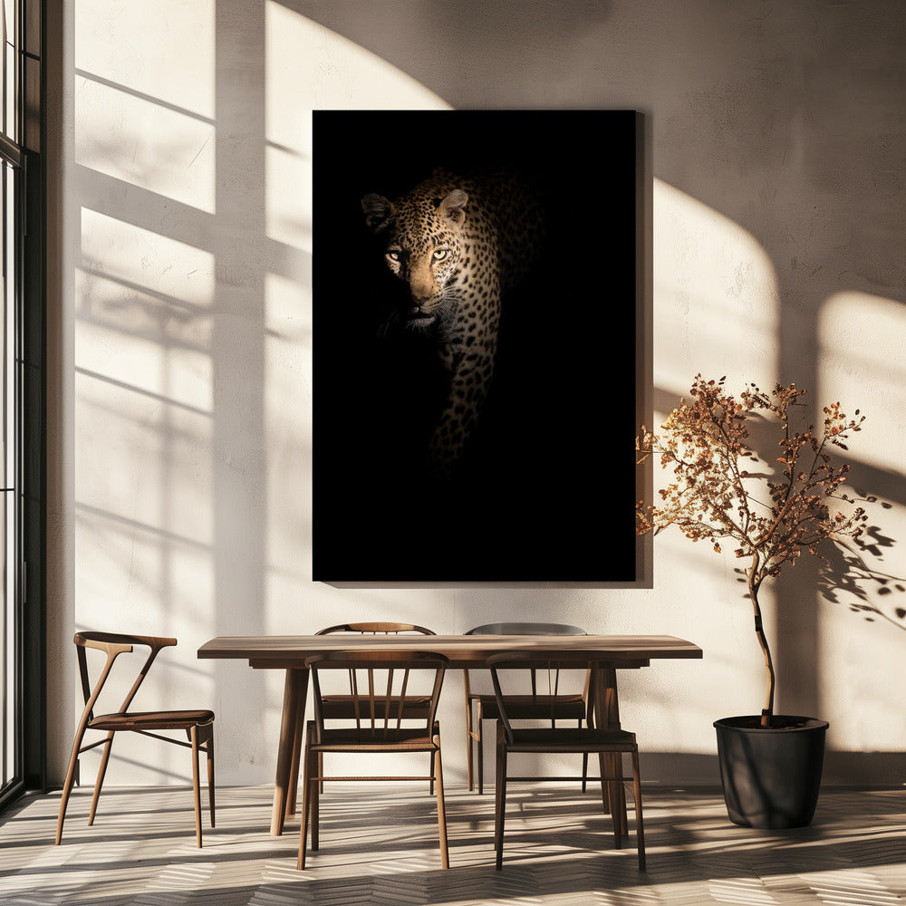 Uit de duisternis | Canvas