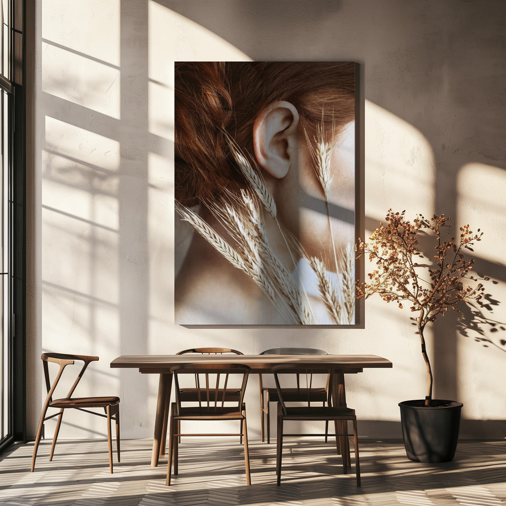 Rogge | Canvas