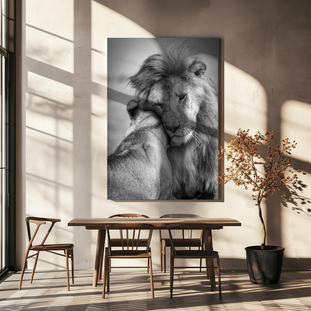 Afrikaanse liefde! | Canvas