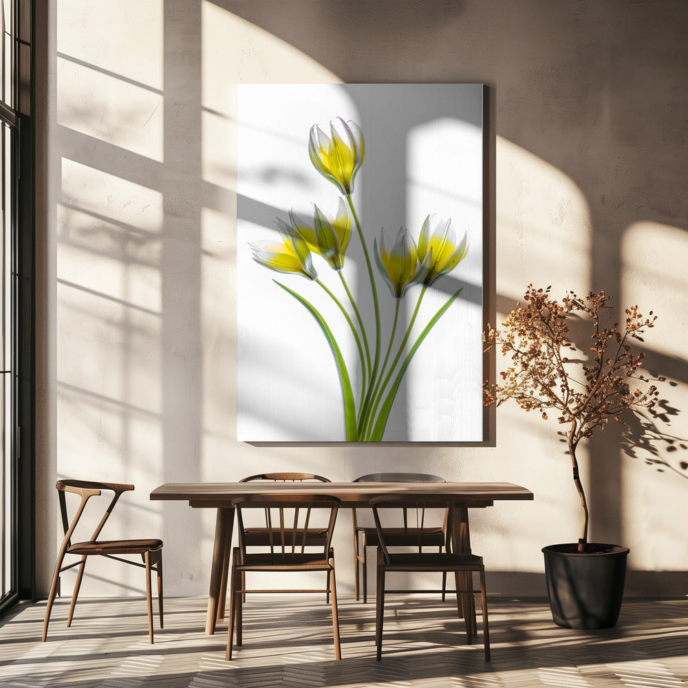 Tulp | Canvas