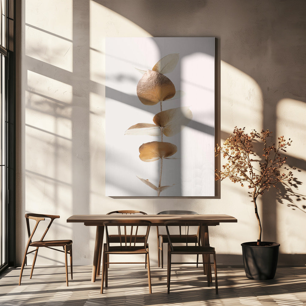 Eucalyptus Goud Nr. 06 | Canvas