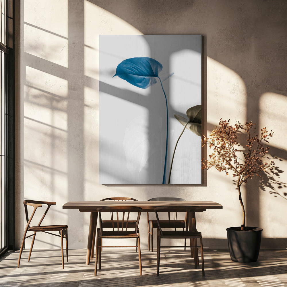 Monstera Creative 19 | Canvas