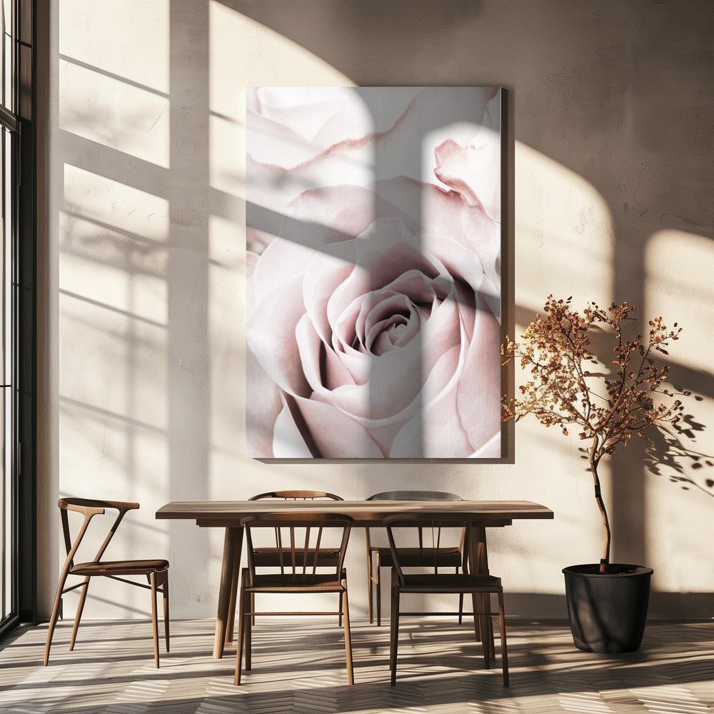 Roze Roos Nr. 05 | Canvas