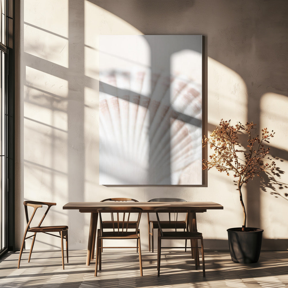 Schelp | Canvas