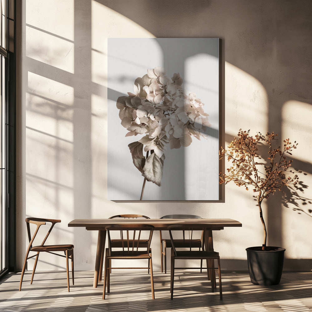 Beige gedroogde bloem | Canvas