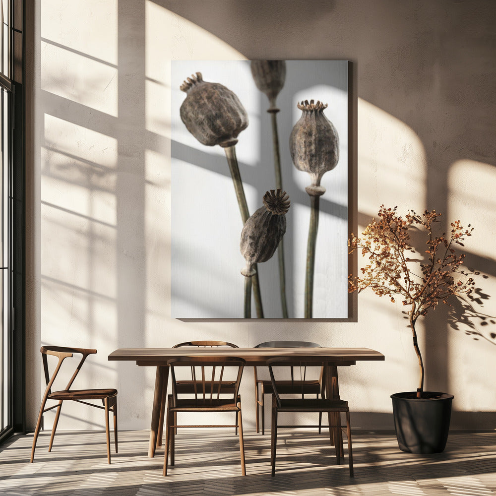 Dried_006 | Canvas
