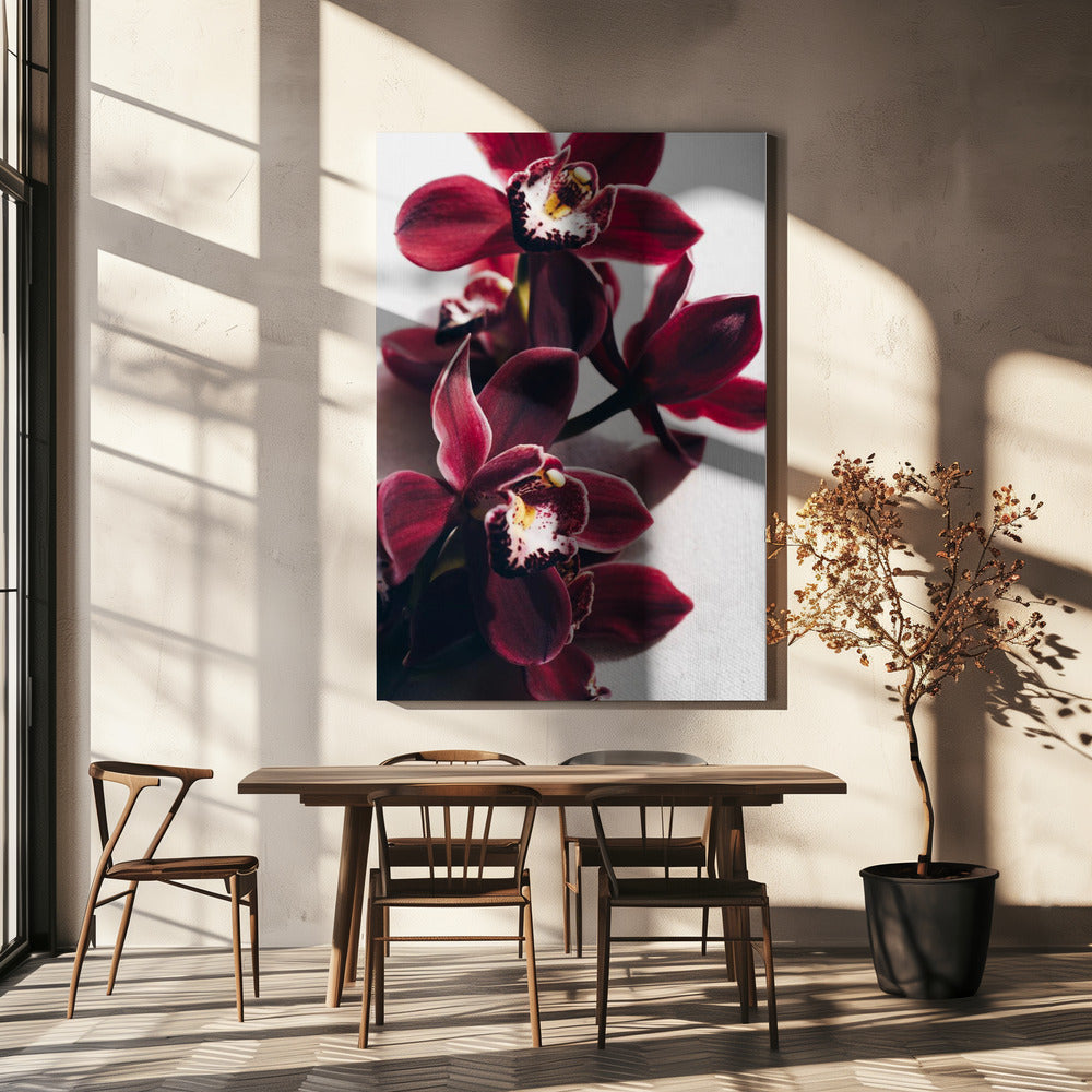 Rode orchideeën met delicate bloemblaadjes | Canvas