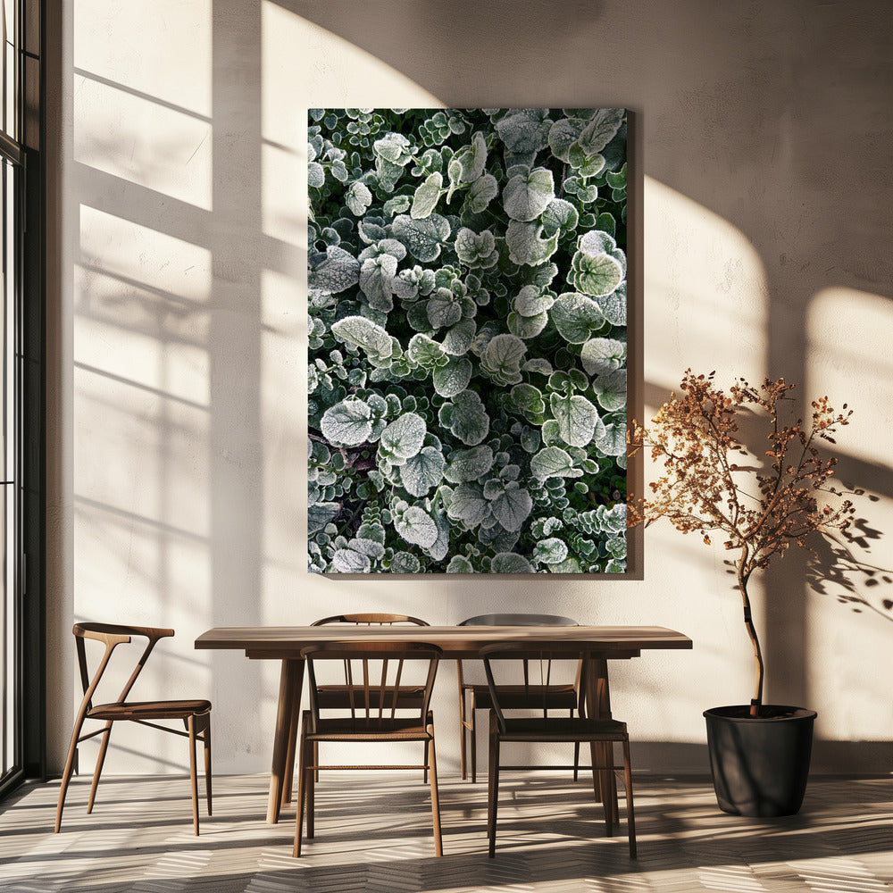 Mat | Canvas