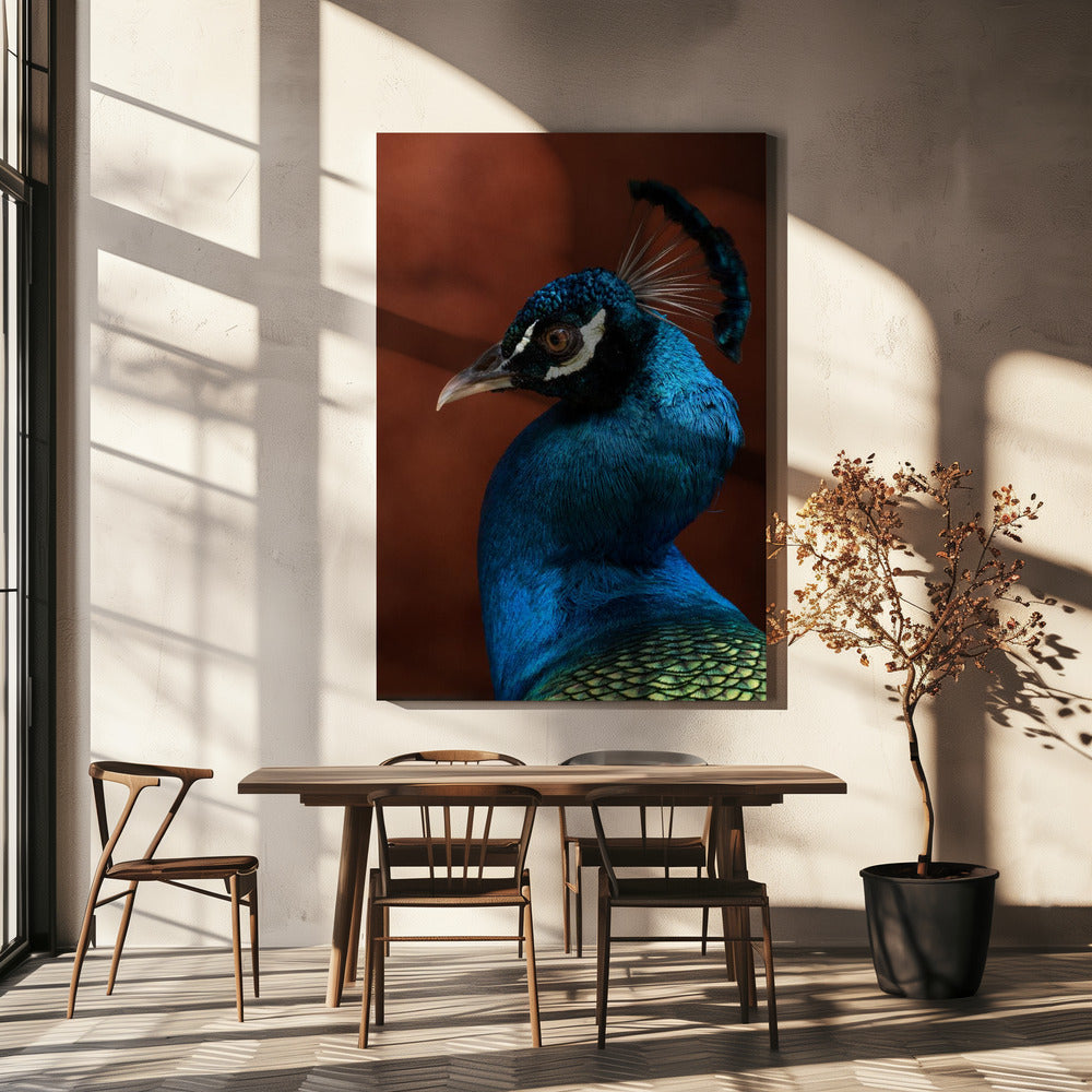 Verleidingsmodus | Canvas