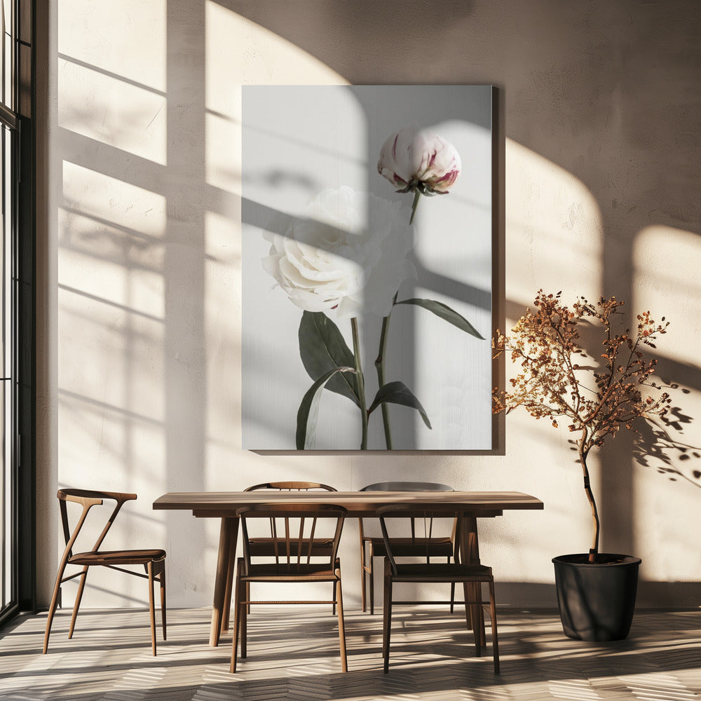 Pioenroos 12 | Canvas