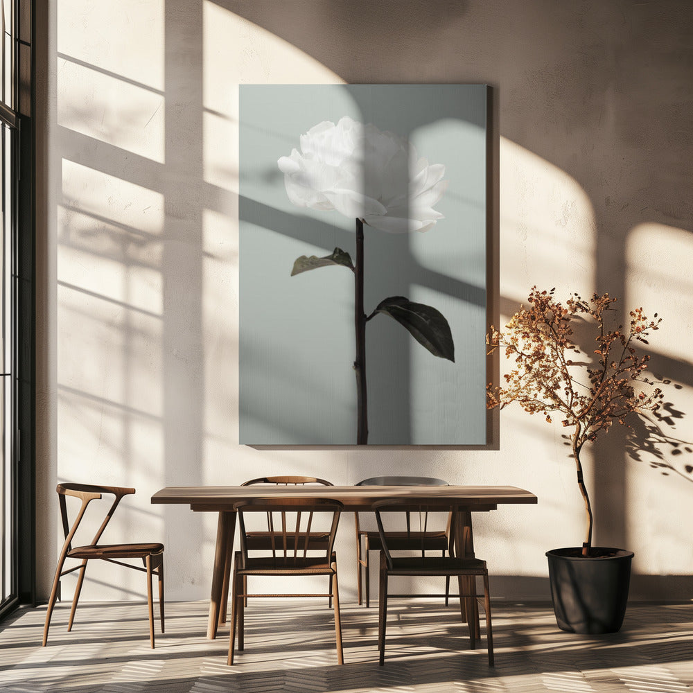 Pioenroos 16 | Canvas