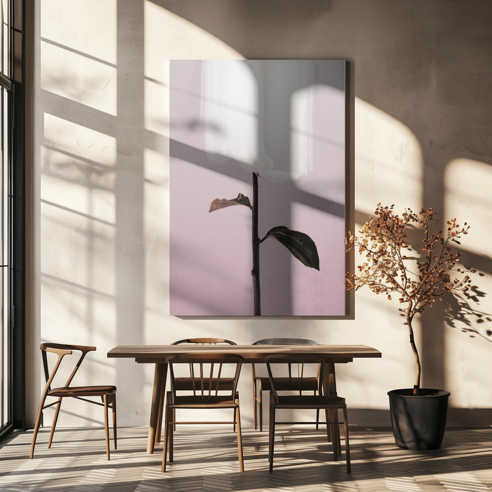 Pioenroos 19 | Canvas