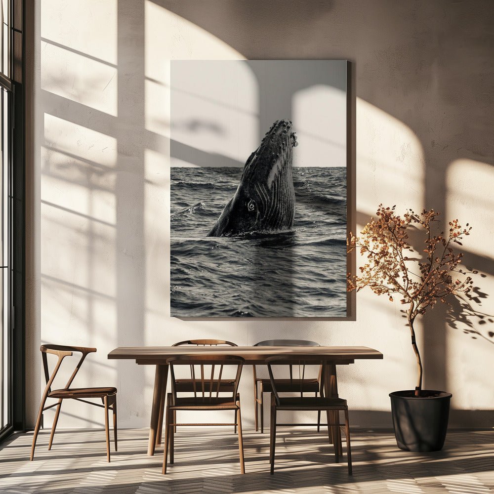 Geheim van de Walvis | Canvas