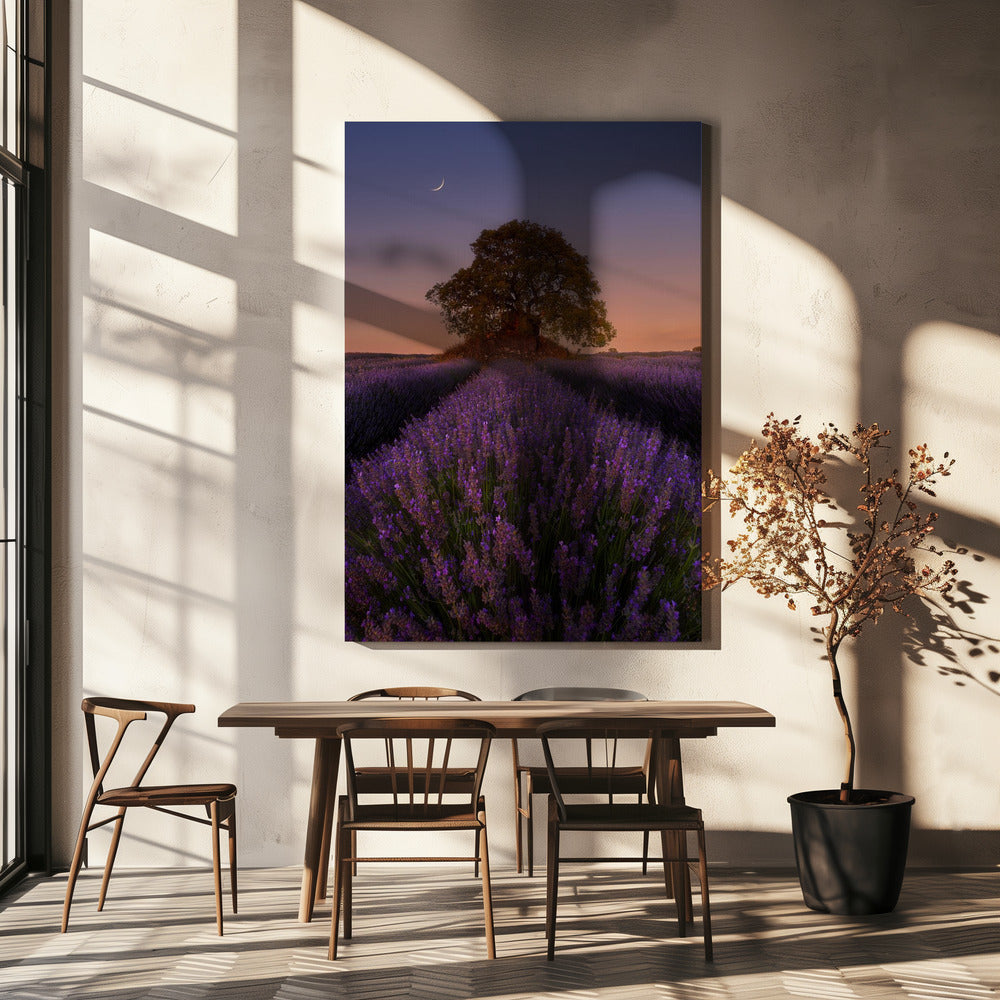 Lavendel en Maan | Canvas
