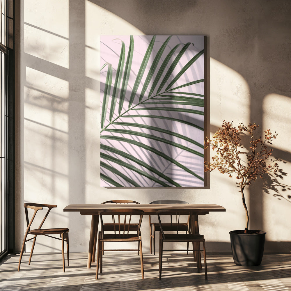 Palmblad Schaduw | Canvas
